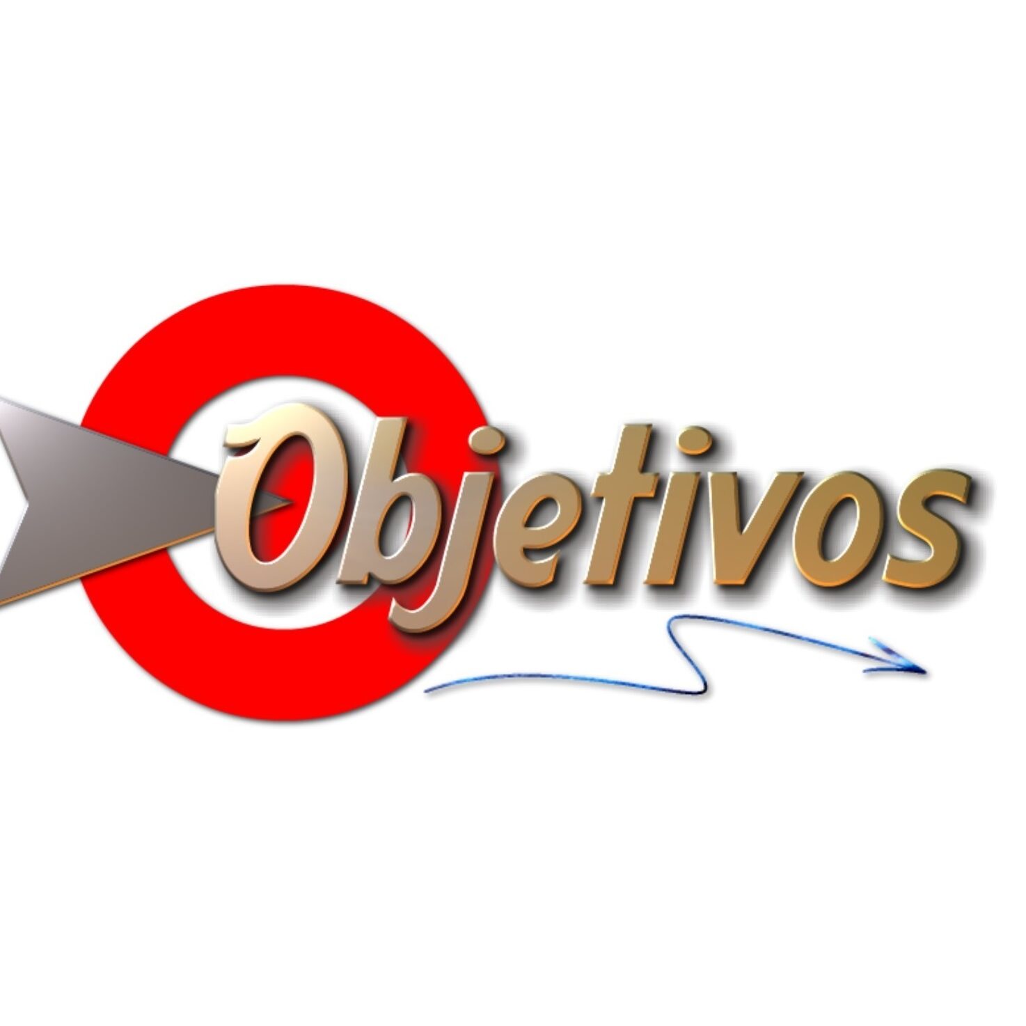 OBJETIVOS OBJETIVOS
